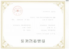 知识产权